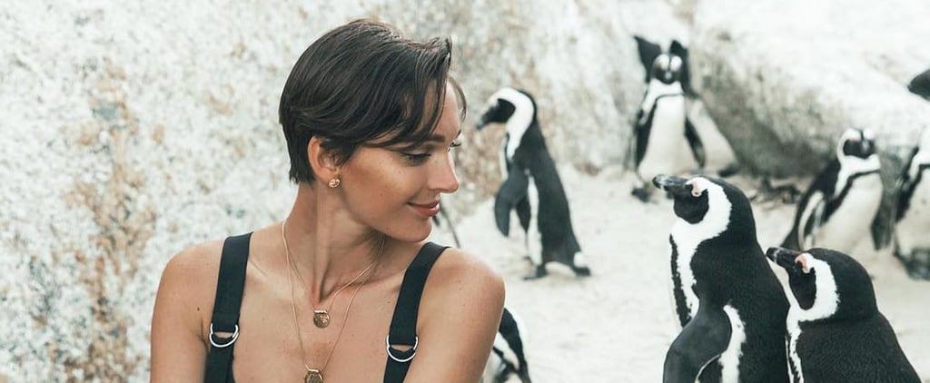 This Beach in South Africa Is Covered With Penguins, and You Can Take Photos With Them!