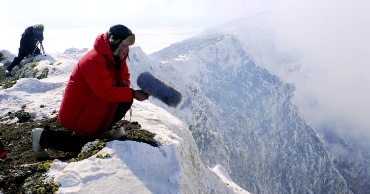 Best Nature Documentaries on Netflix 2019 | POPSUGAR Entertainment