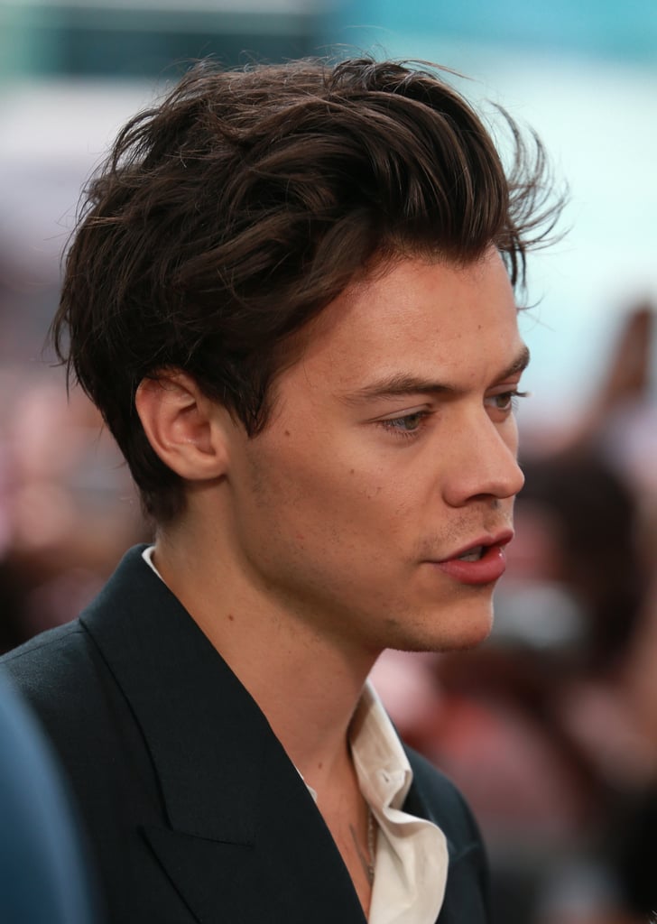 Sexy Harry Styles Pictures