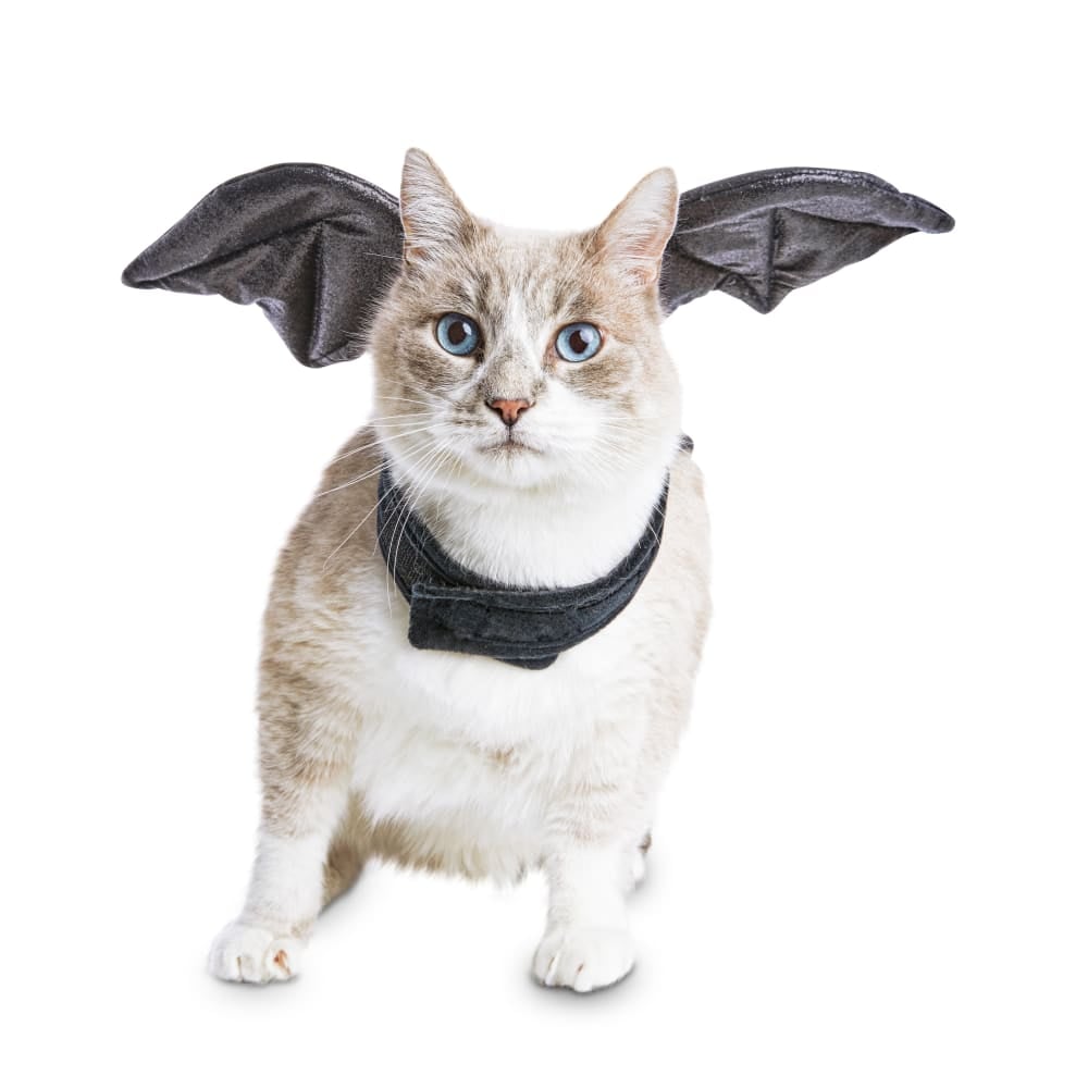 Best Cat Costumes For Halloween 2020 Popsugar Pets