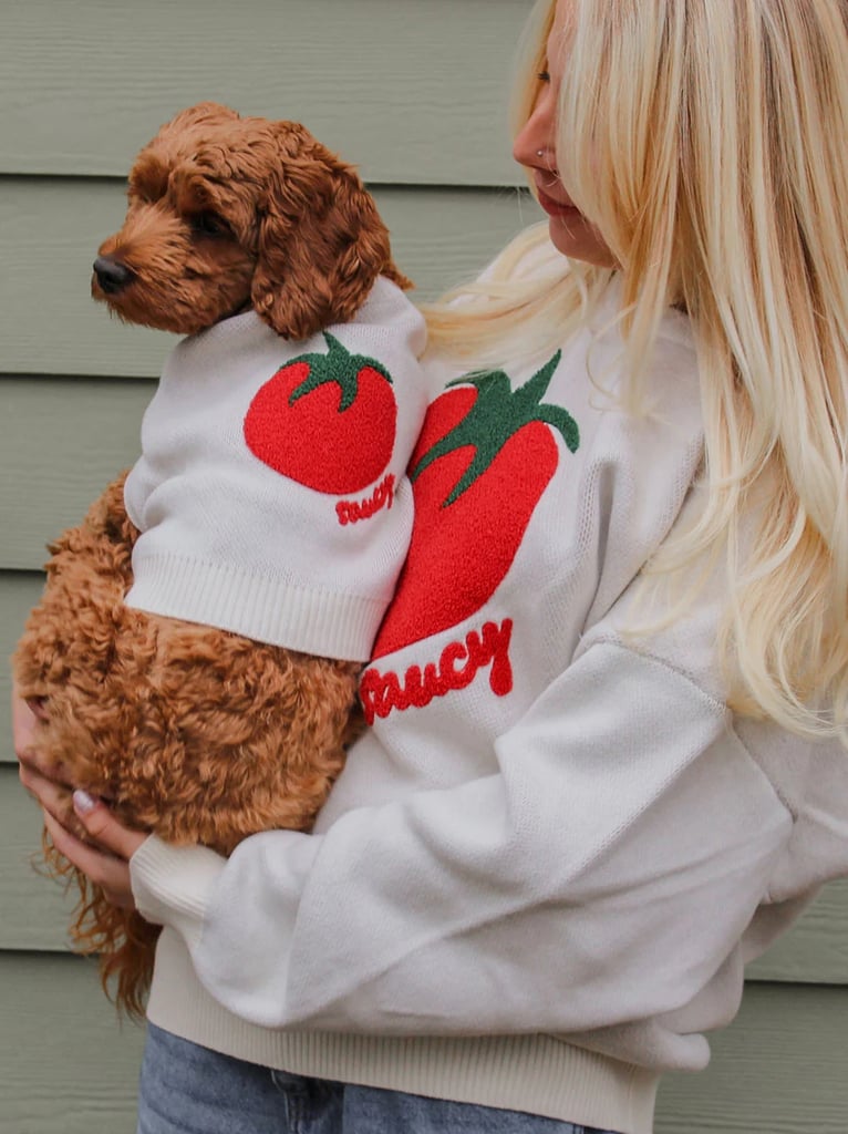 Best Matching Human-and-Dog Knit Sweaters