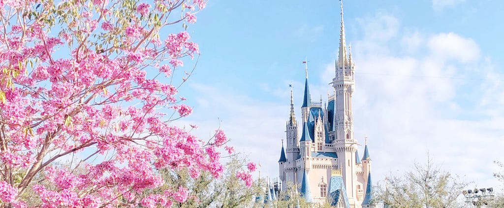 24 Reasons a runDisney Race Should Be Your First Half-Marathon