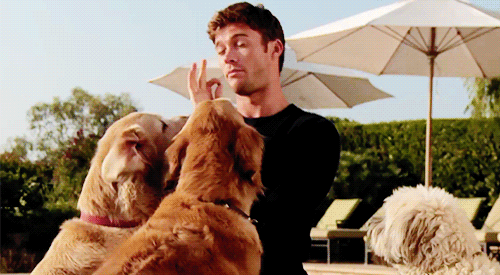 And Now, a Selection From The Bachelor With Dogs and Scott Eastwood