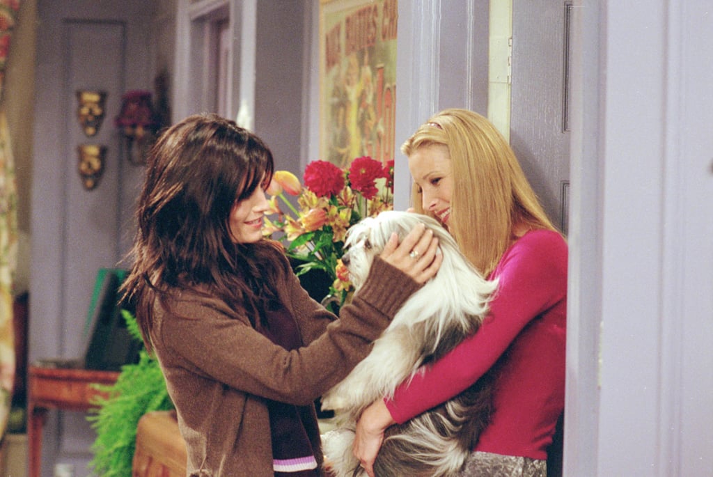 "Friends" Thanksgiving Episodes: "The One Where Chandler Doesn't Like Dogs"