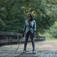 Danai Gurira Confirms That Season 10 of The Walking Dead Will Be Her Last