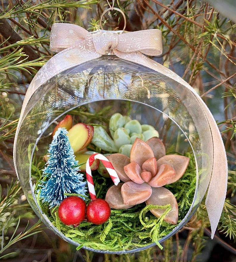 Etsy's Christmas-Themed Succulent Terrarium Ornaments