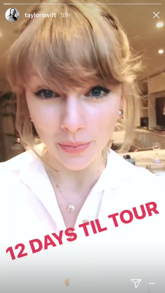 Taylor Swift's Cat Earrings