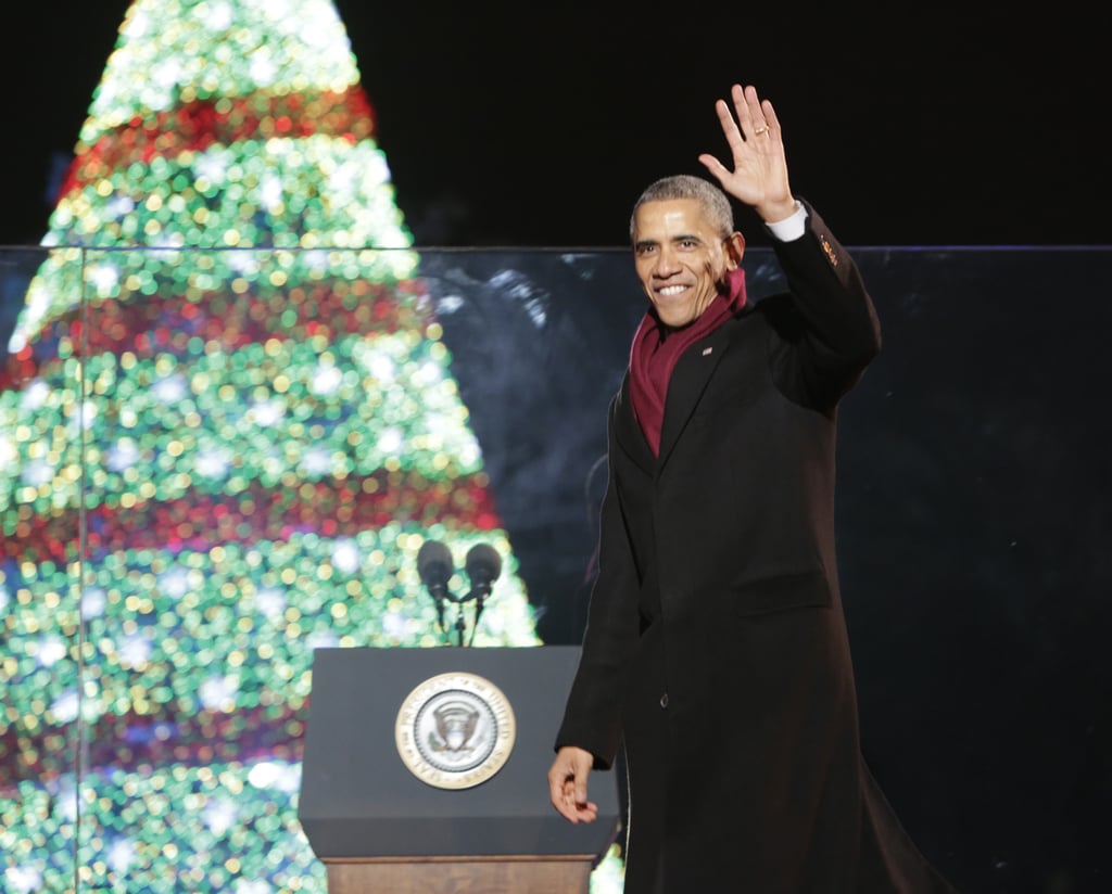 National Christmas Tree Lighting Ceremony 2014 | Pictures