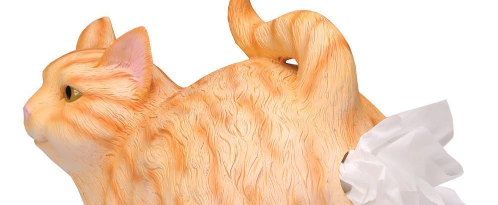Cat Butt Tissue Dispenser