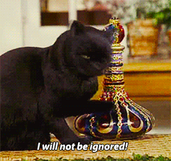 When Someone Ignores You