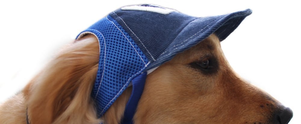 Dog Baseball Cap Sport Cap on Amazon