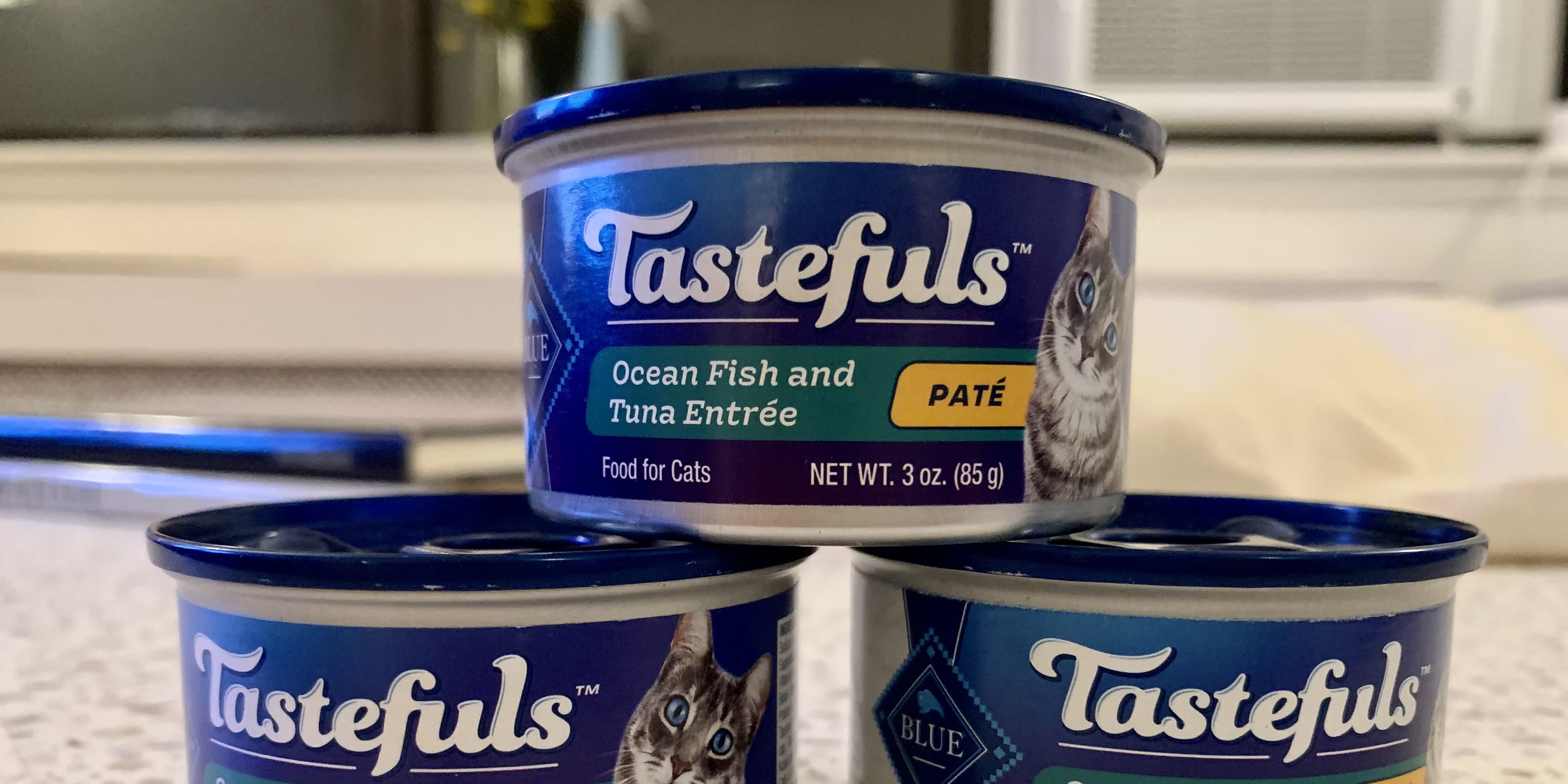 Best wet cat hotsell food for picky cats