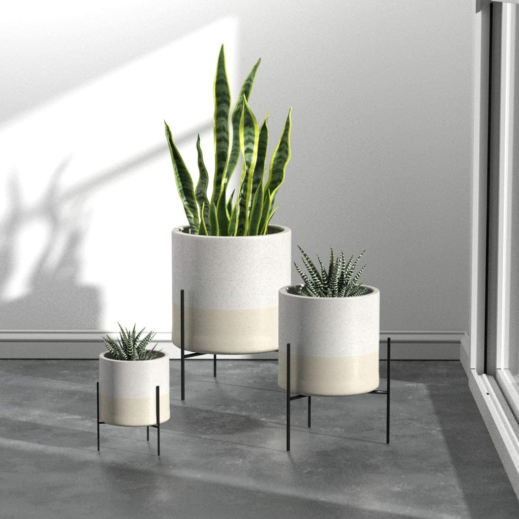 Rivet Mid-Century Ceramic Planter With Stand | Best Indoor Pots and