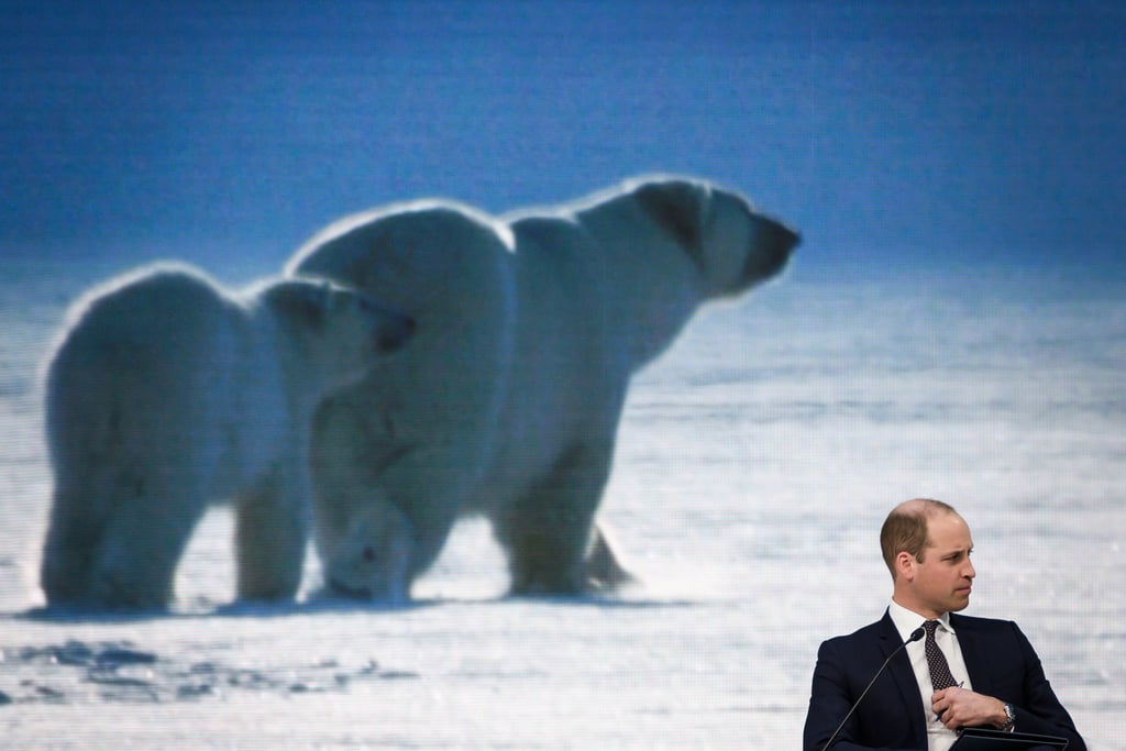 Prince William Talks With David Attenborough January 2019