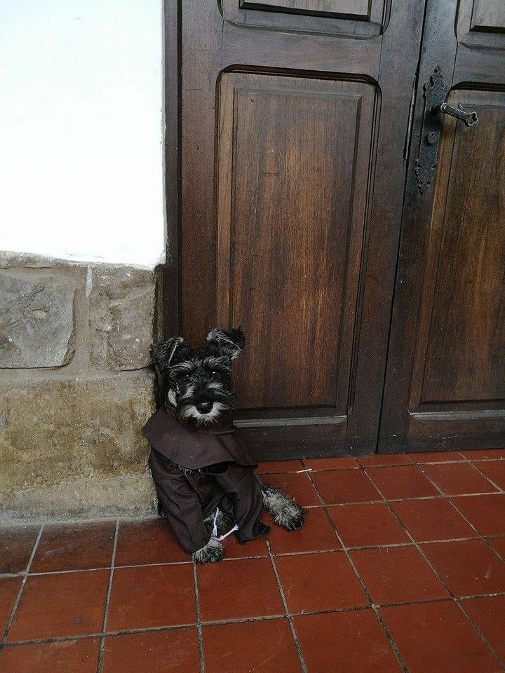Dog Adopted by Monastery in Bolivia