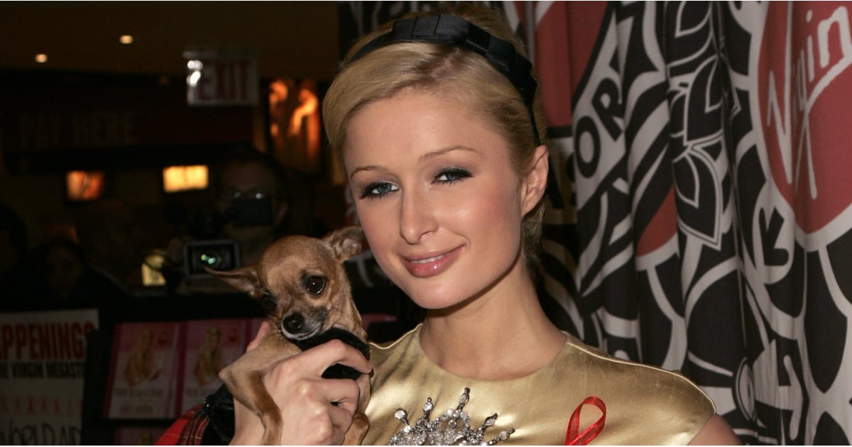 Paris Hilton's Dog Tinkerbell Dies Pictures POPSUGAR Celebrity