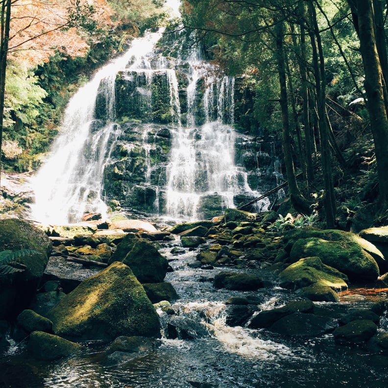 The island is 40 percent a world-heritage-listed national park.