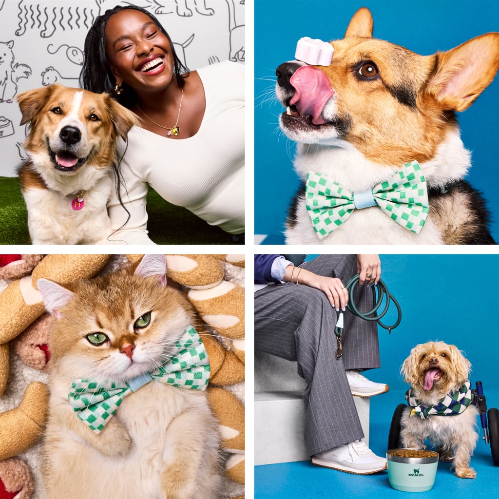 Get Ready, Pet Parents: Target's Cuddle Collab Is About to Be Your New Obsession