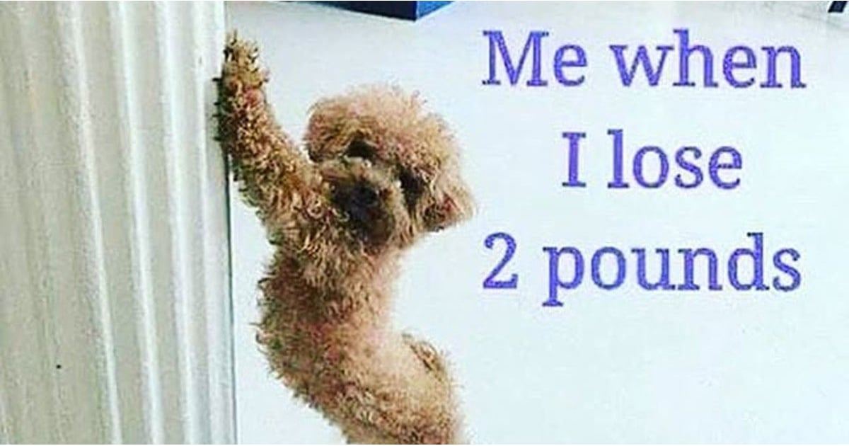 Memes to Celebrate Your WeightLoss Journey POPSUGAR Fitness