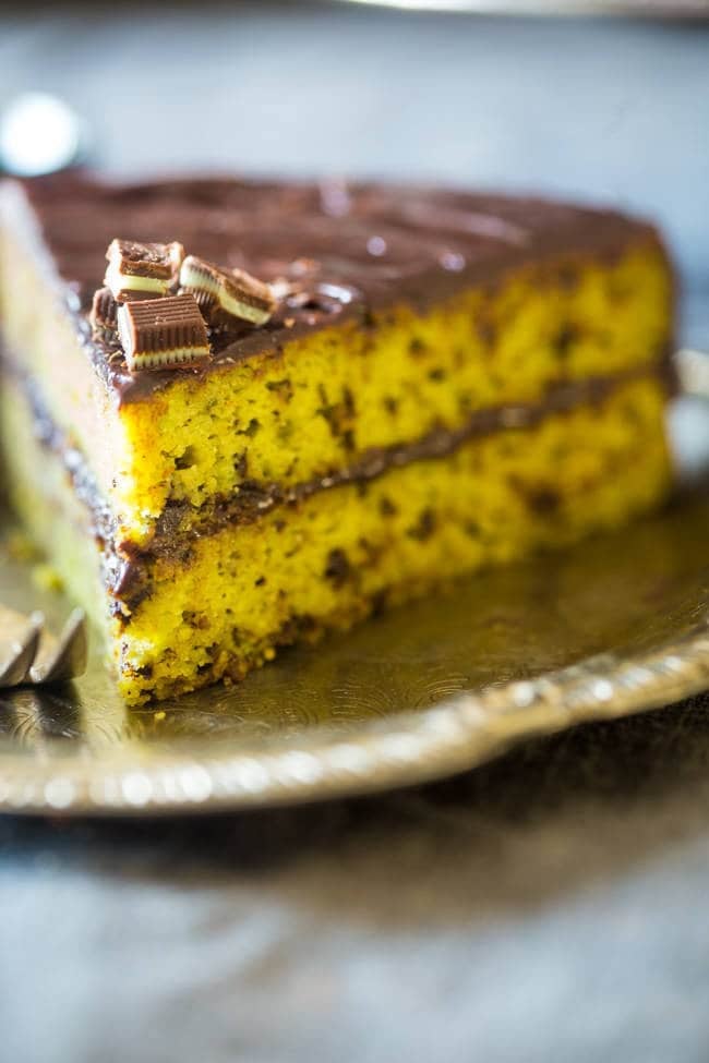 Mint Paleo Gluten-Free Chocolate Cake