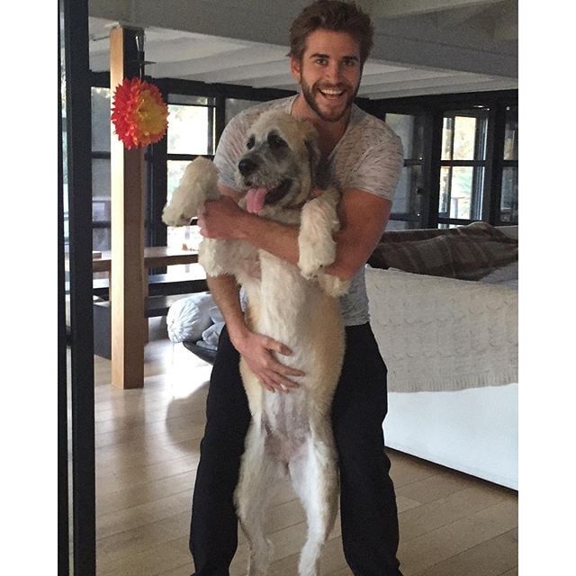 When He Basically Slow Danced With His Dog