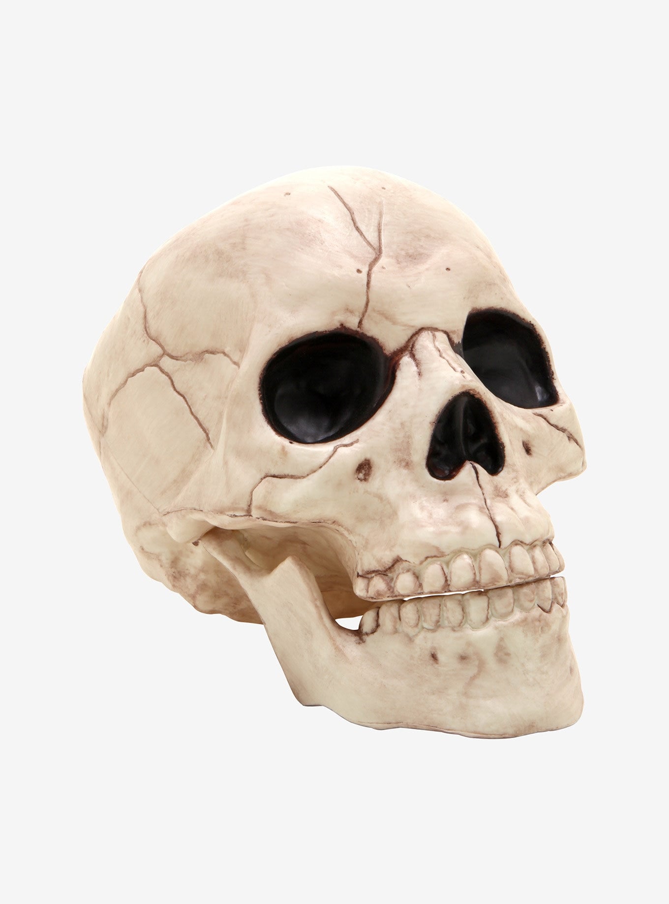 residu Bestaan Irrigatie Plastic Skull | Wow, Hot Topic's New Halloween-Themed Home Decor Is  Chillingly Cool | POPSUGAR Home Photo 12