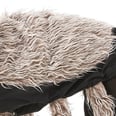 You Can Put Your Dog in a Creepy Tarantula Costume, but Good Luck Getting Them to Ever Forgive You For It
