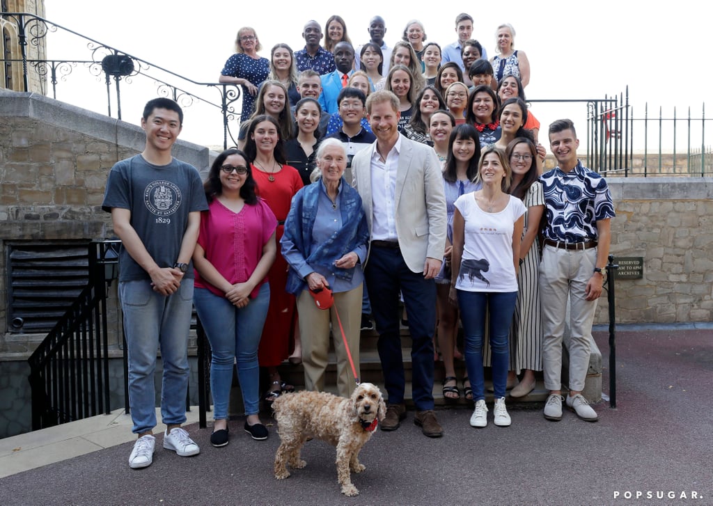 Prince Harry Meeting With Dr. Jane Goodall July 2019