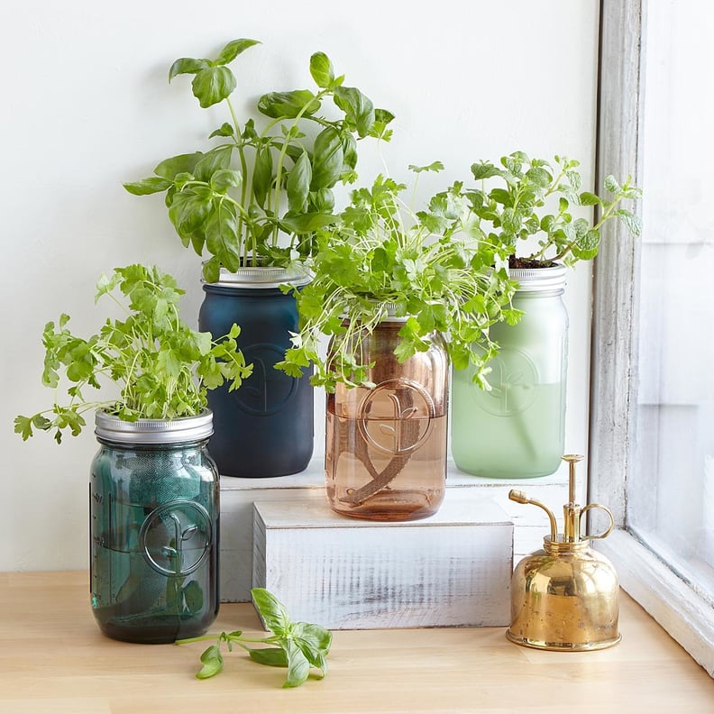 Mason Jar Indoor Herb Garden