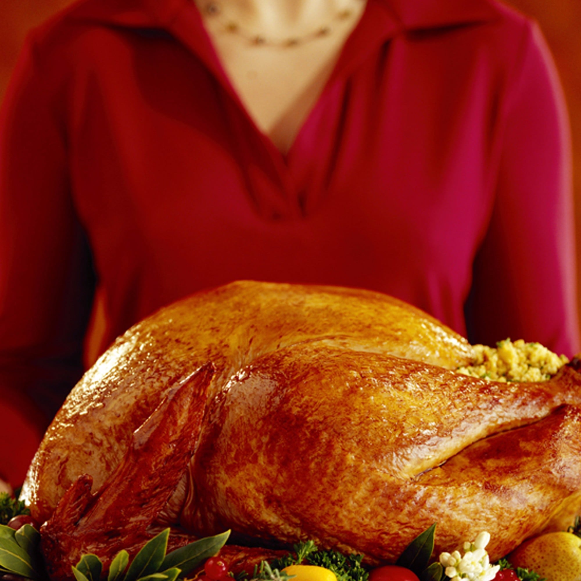 Foods Pregnant Women Should Avoid at Thanksgiving | POPSUGAR Family