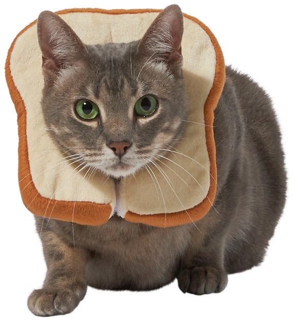 Frisco Bread Cat Costume