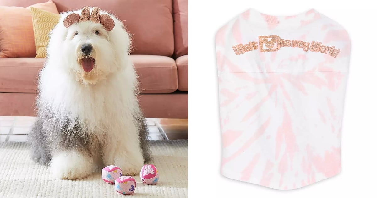 Best Disney Gifts For Pets 2019 POPSUGAR UK Pets