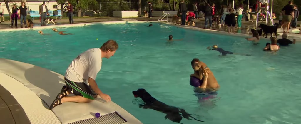 Pool in Canada Lets Dogs Swim