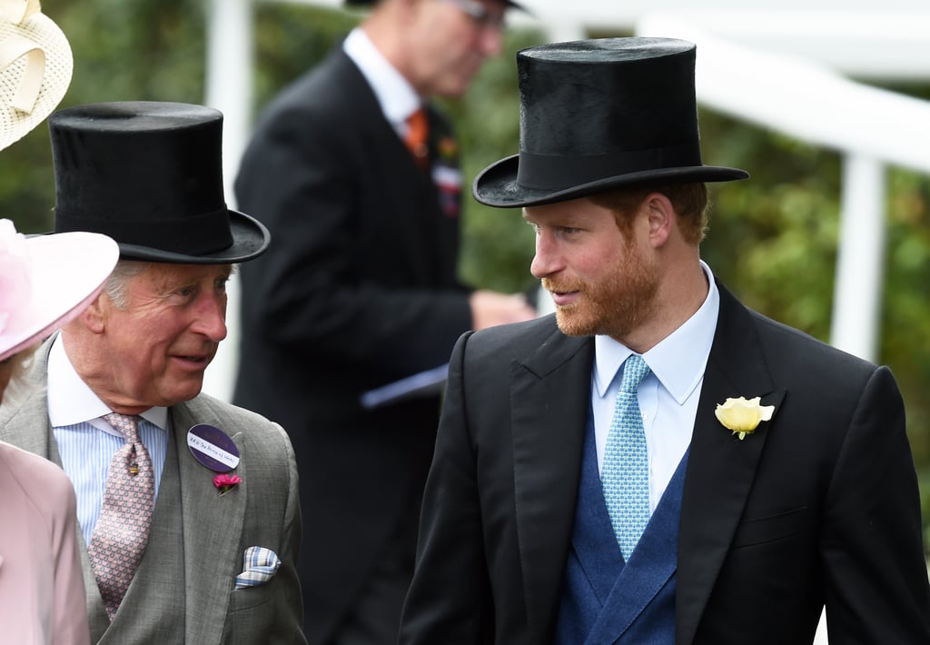 Prince Harry and Prince Charles Pictures