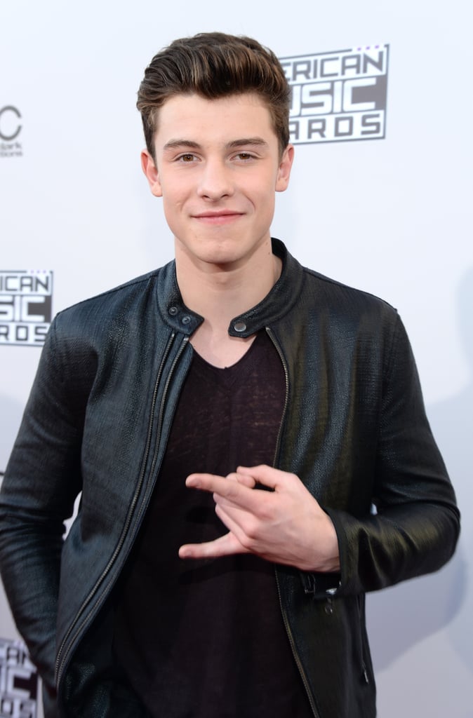 Pictured: Shawn Mendes