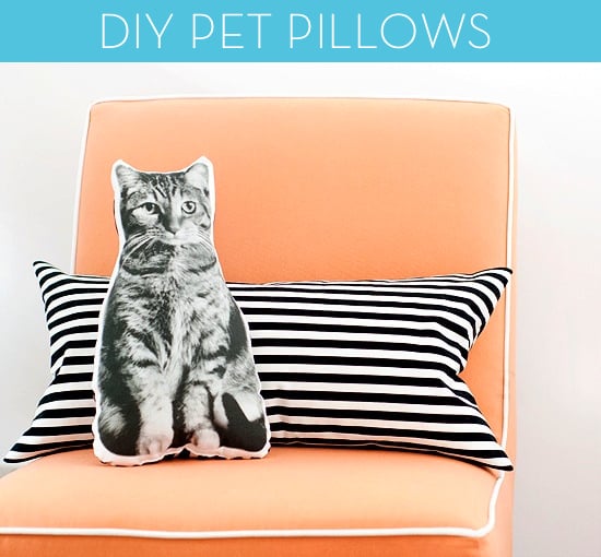 No-Sew Cat Pillow