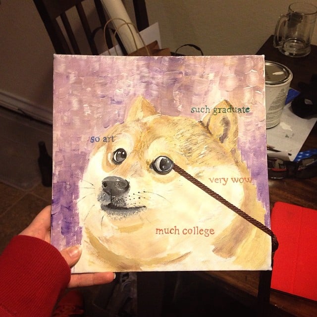 Wow. So much Doge. 
Source: Instagram user beejayncompany