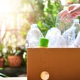 7 Rules to Remember to Become a Better Recycler