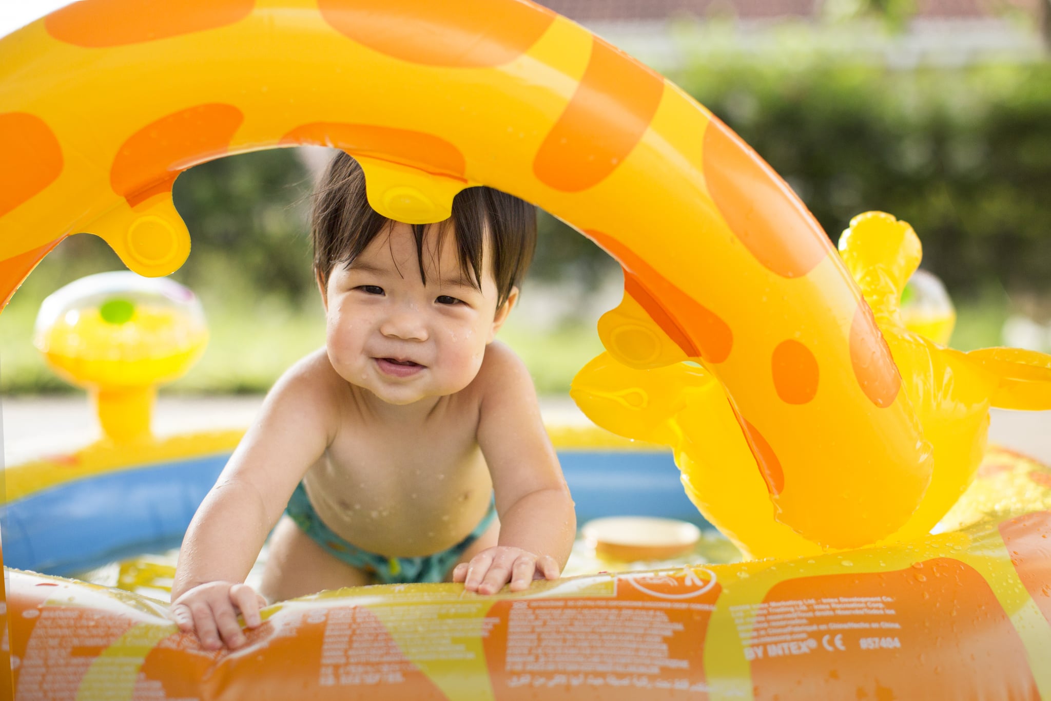 Asian toddler in swimming trunk looking happy in animal theme inflatable pool.