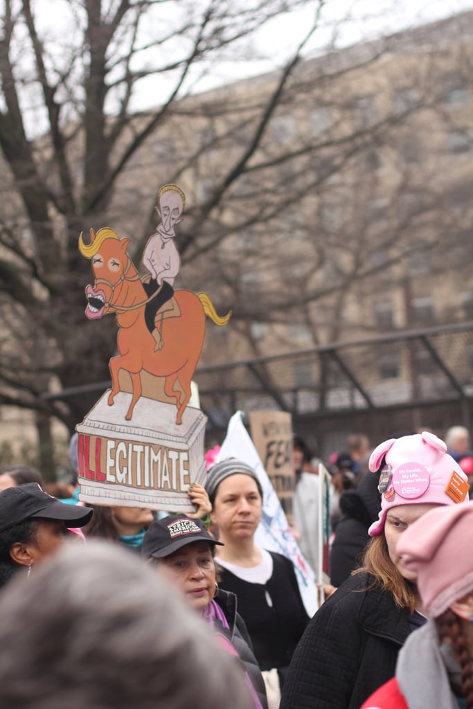 Best Signs From Women's March in Washington DC