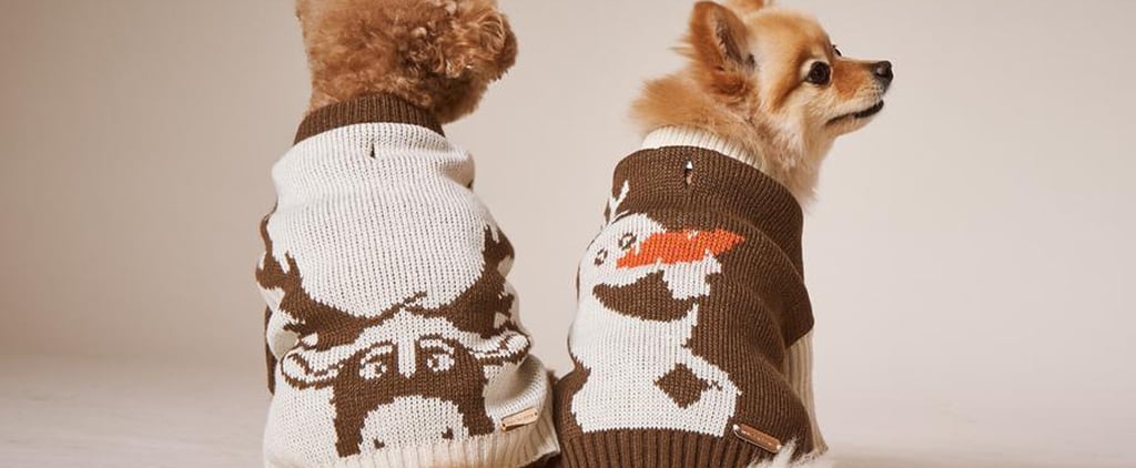 Best Dog Coats and Jackets | 2020