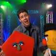 It's Not Wrong If You Find Nick Jonas's Sesame Street Music Video About Shapes Sexy