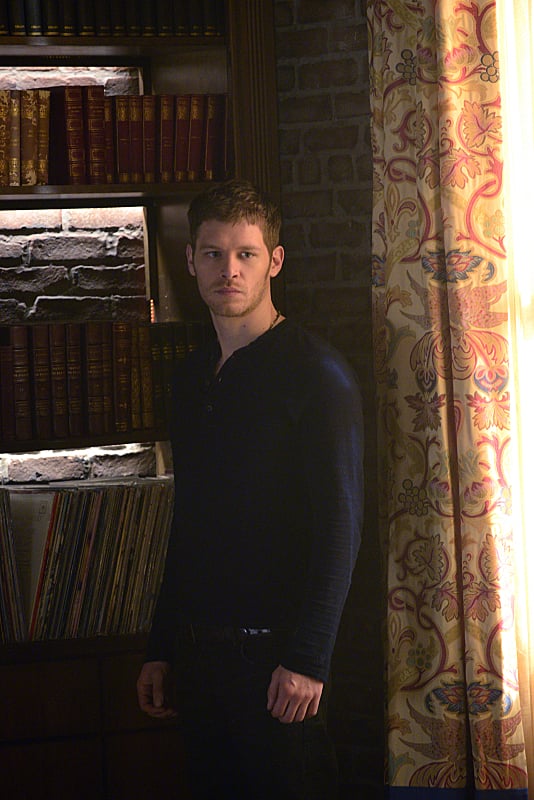 Klaus From The Originals/The Vamprie Diaries
