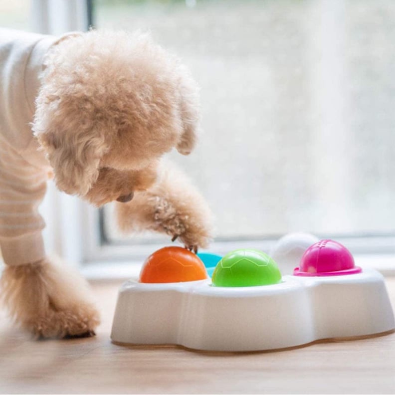 Pet Round Dog Food and Drink Training Interactive Treat Puzzle Dog