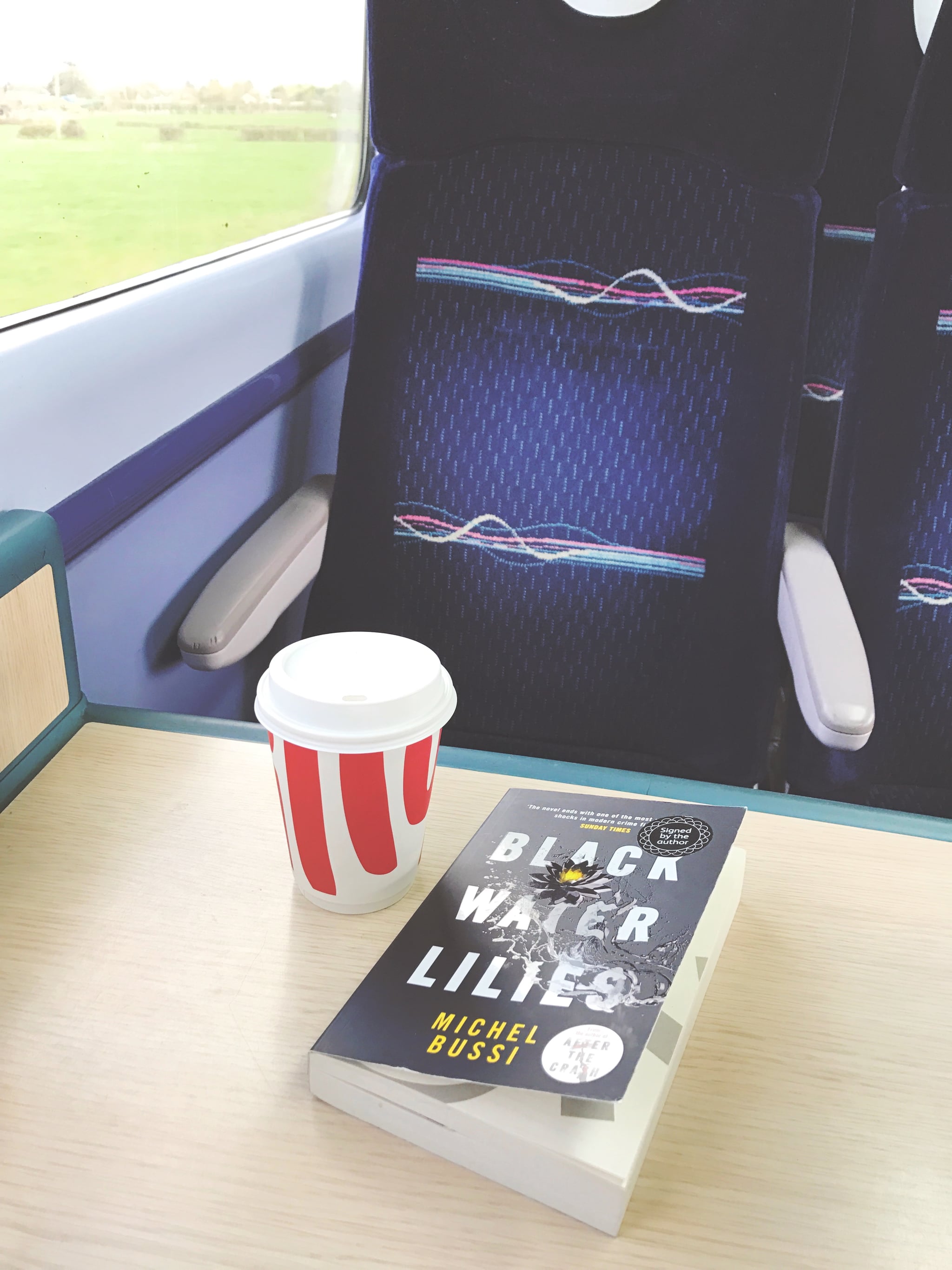 Black Water Lilies By Michel Bussi 6 Mysteries And Thrillers I Ve Been Recommending To All My Friends This Summer Popsugar Entertainment Photo 3 'ends with one of the most reverberating shocks in modern crime fiction' sunday times this is the story of a.