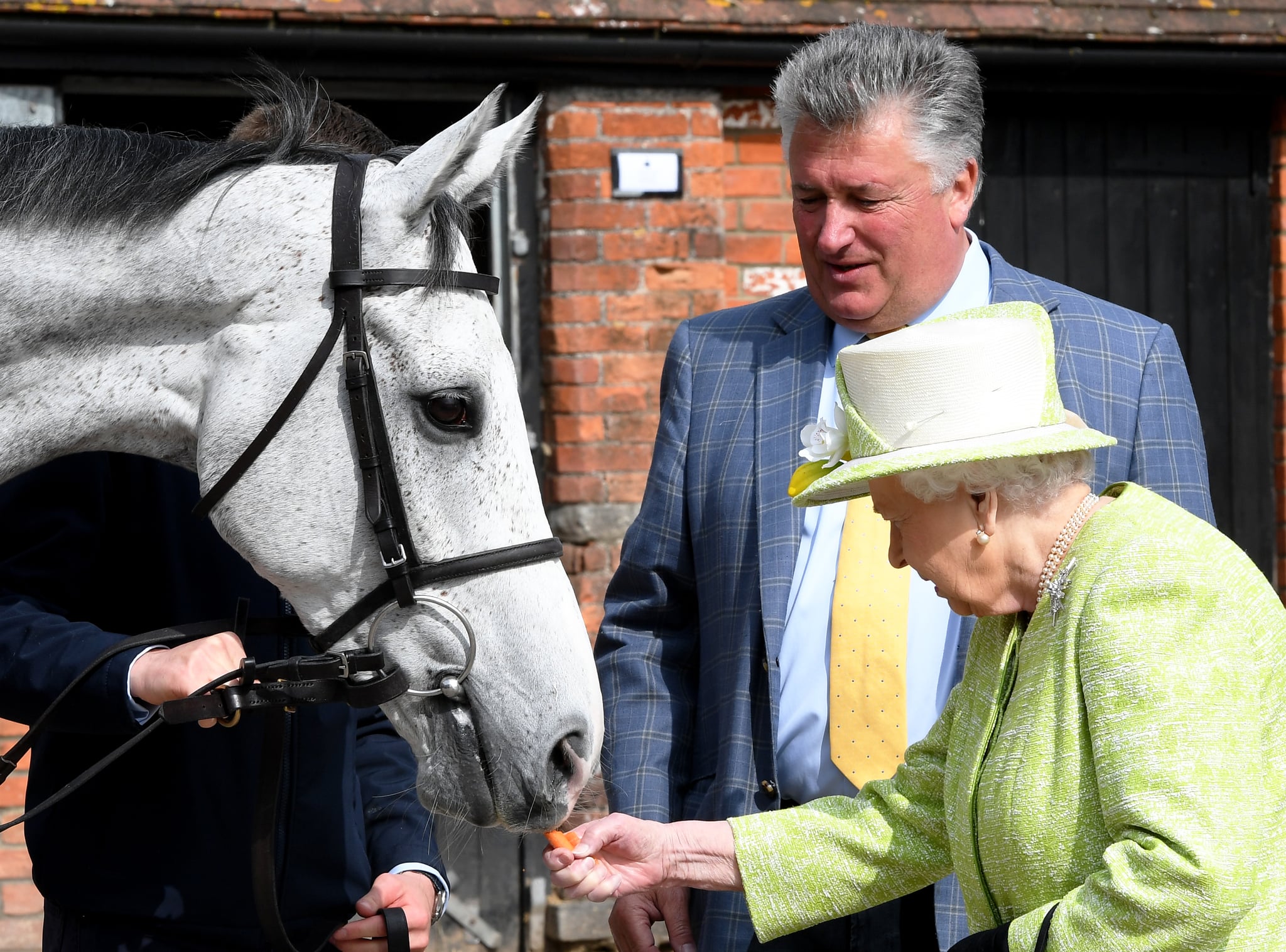 Queen Elizabeth II feeds a horse at Manor Farm Stables in 2019