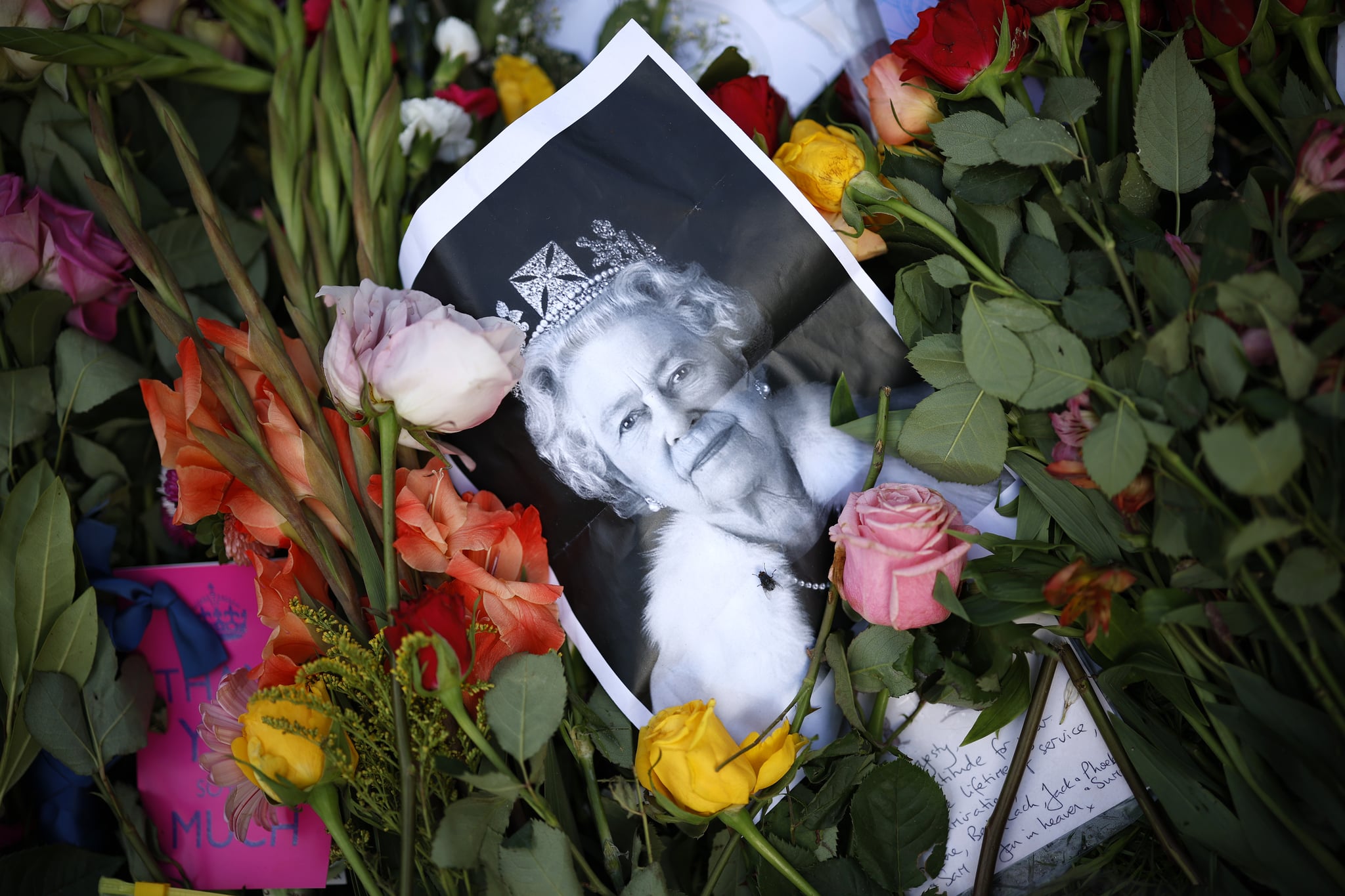 LONDON, UNITED KINGDOM - SEPTEMBER 11: A photograph of Queen Elizabeth II lays among the flowers at a memorial site in Green Park near Buckingham Palace following the death of the queen on September 11, 2022 in London, United Kingdom. Elizabeth Alexandra Mary Windsor was born in Bruton Street, Mayfair, London on 21 April 1926. She married Prince Philip in 1947 and acceded to the throne of the United Kingdom and Commonwealth on 6 February 1952 after the death of her Father, King George VI. Queen Elizabeth II died at Balmoral Castle in Scotland on September 8, 2022, and is succeeded by her eldest son, King Charles III. (Photo by Chip Somodevilla/Getty Images)