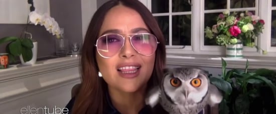 Salma Hayek's Pet Owl Threw Up on Harry Styles