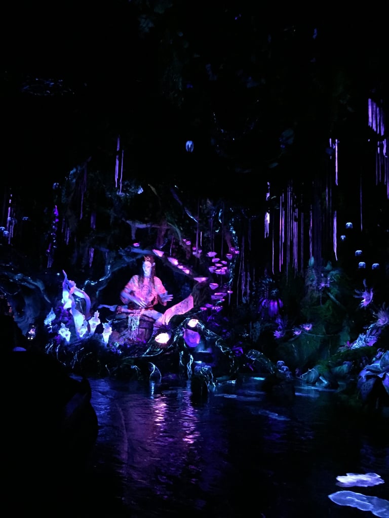 Which Pandora World of Avatar Ride Is For Kids?