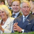 What Is the Relationship Between William, Harry, and Camilla Really Like?
